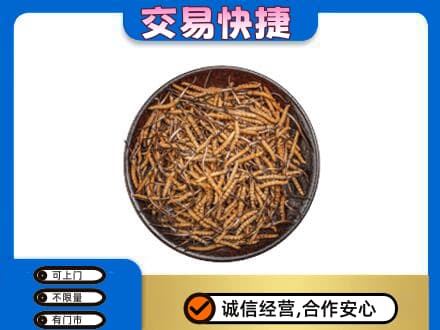 九江高价回收散虫草